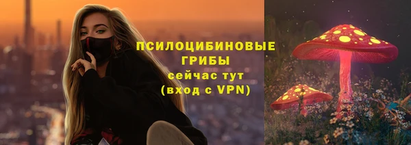 гидра Алзамай