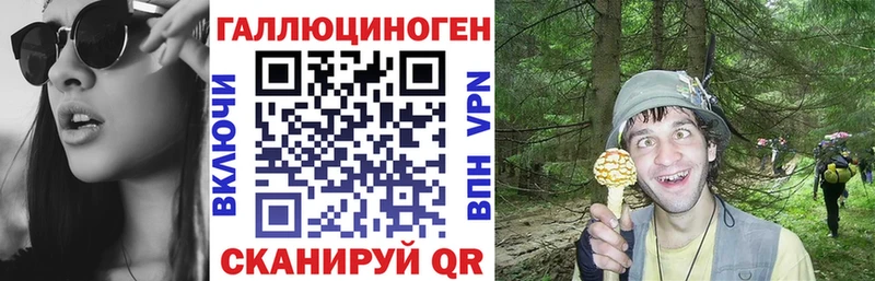 Галлюциногенные грибы Cubensis  где можно купить   Фролово 